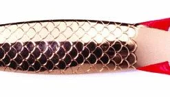 ABU GARCIA Toby - Küstenblinker