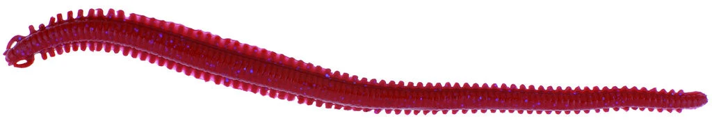 BERKLEY - Pure Fishing Berkley Gulp! Alive Nereis 15cm - Seeringelwurm - 28 Stück 1 BERKLEY - Pure Fishing Berkley Gulp! Alive Nereis 15cm - Seeringelwurm - 28 Stück