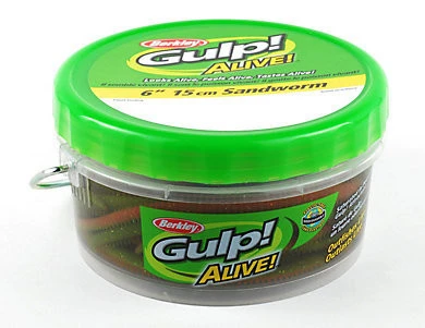 BERKLEY - Pure Fishing Berkley Gulp! Alive Nereis 15cm - Seeringelwurm - 28 Stück 5 BERKLEY - Pure Fishing Berkley Gulp! Alive Nereis 15cm - Seeringelwurm - 28 Stück – Bild 5