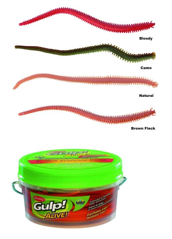 BERKLEY - Pure Fishing Berkley Gulp! Alive Nereis 15cm - Seeringelwurm 14 Stück 3 BERKLEY - Pure Fishing Berkley Gulp! Alive Nereis 15cm - Seeringelwurm 14 Stück – Bild 3