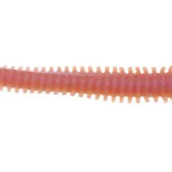 BERKLEY - Pure Fishing Berkley Gulp! Alive Nereis 15cm - Seeringelwurm 14 Stück 11 BERKLEY - Pure Fishing Berkley Gulp! Alive Nereis 15cm - Seeringelwurm 14 Stück -Shakespeare - Pure Fishing 1309096sLq06AGR0BZI3 1280x1280