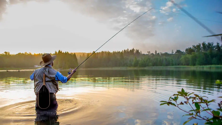 Shakespeare - Pure Fishing -Shakespeare - Pure Fishing 7