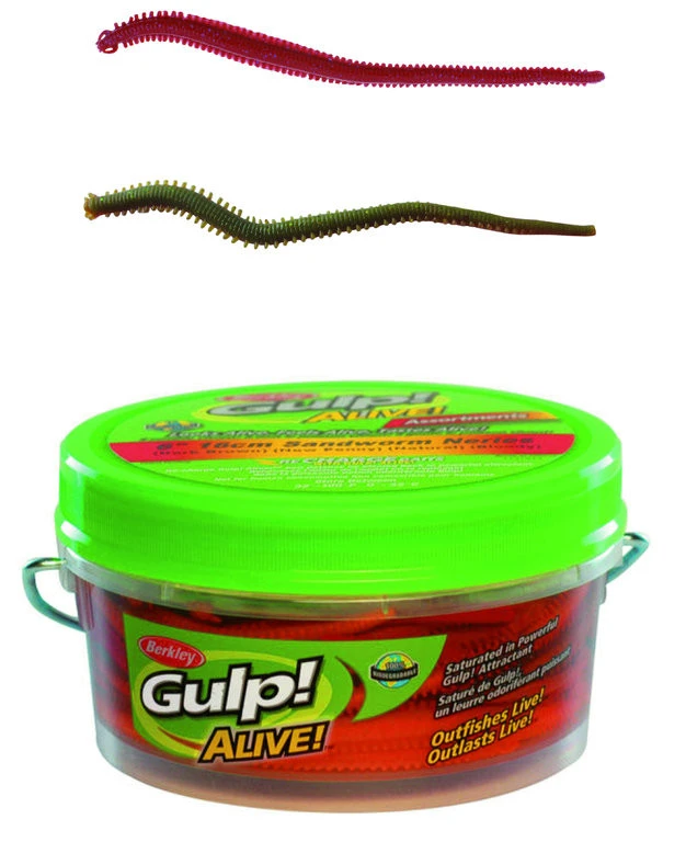 BERKLEY - Pure Fishing Berkley Gulp! Alive Nereis 15cm - Seeringelwurm - 28 Stück 2 BERKLEY - Pure Fishing Berkley Gulp! Alive Nereis 15cm - Seeringelwurm - 28 Stück – Bild 2