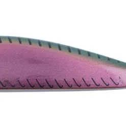 Abu Garcia MO Coast Catcher 11 Abu Garcia MO Coast Catcher -Shakespeare - Pure Fishing EMEA 1376549 1376559yangjl1L2S25N 1280x1280