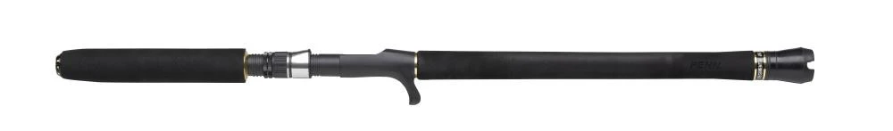 PENN - Pure Fishing PENN Regiment III Jig 601 6 PENN - Pure Fishing PENN Regiment III Jig 601 – Bild 6