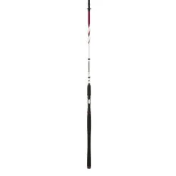 PENN - Pure Fishing PENN SQUADRON II SW Spin - Spinnrute
