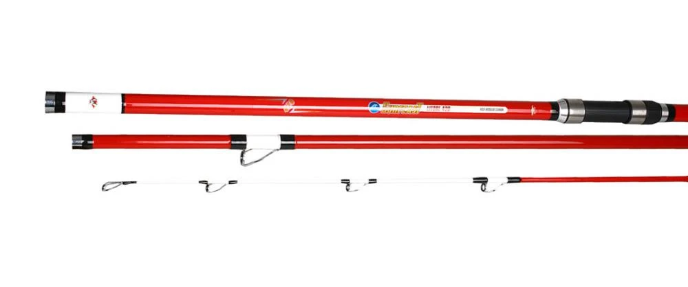 MIKADO Surfcast Rute LITORE 420cm - 100-200g 1 MIKADO Surfcast Rute LITORE 420cm - 100-200g